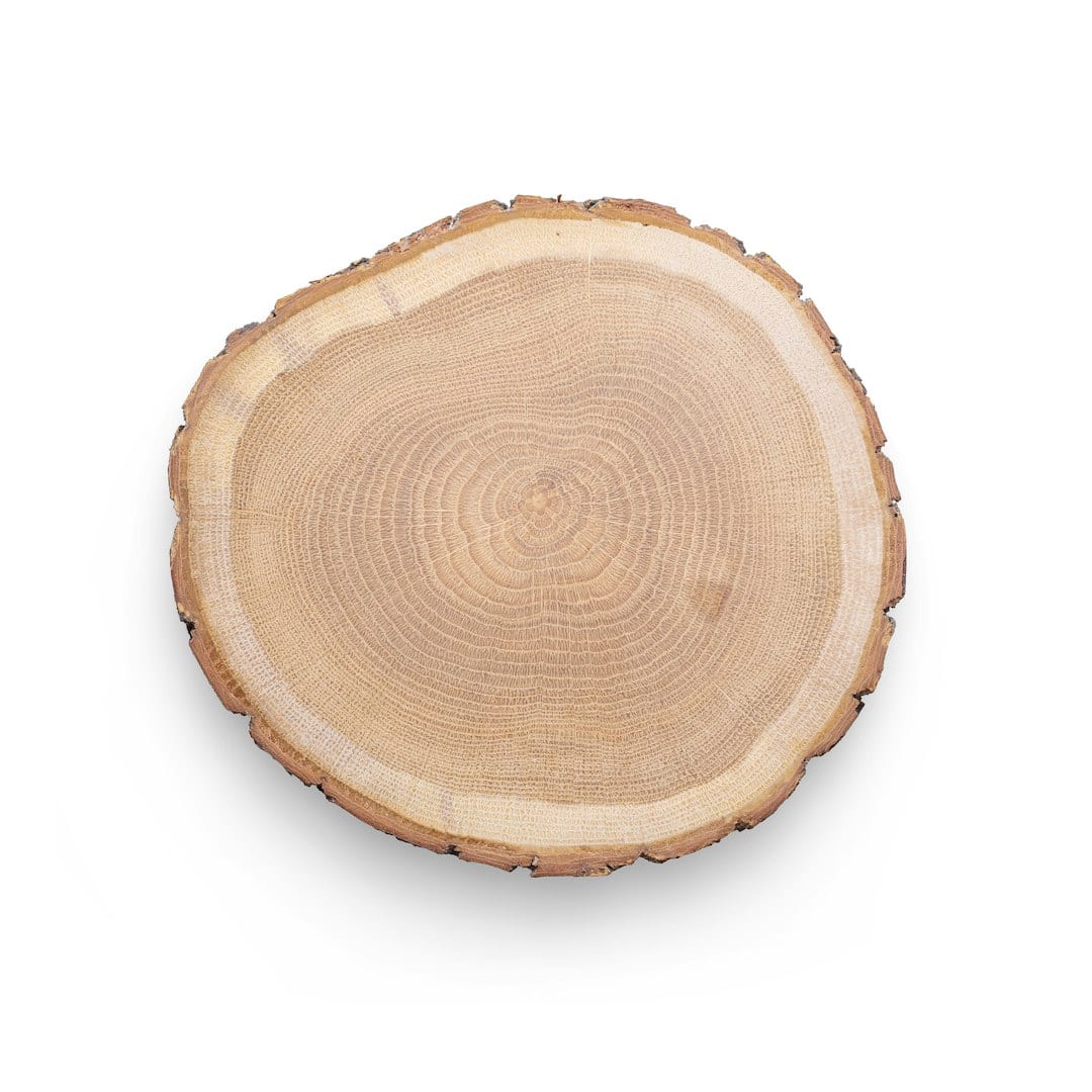 Lento Coffee Table studio photograph
